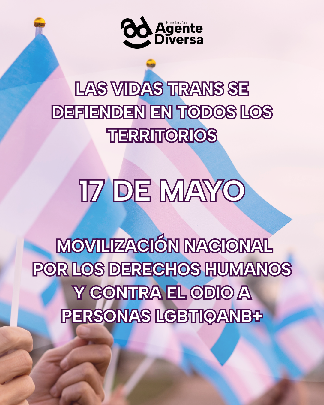 Las vidas trans no se debaten. Se defienden. Movilización Nacional 17 de mayo